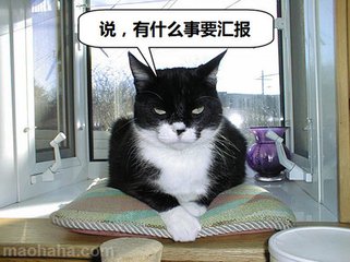 她理财