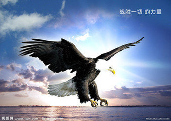 她理财