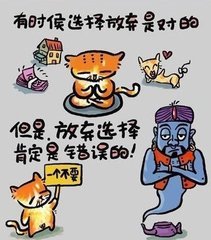 她理财