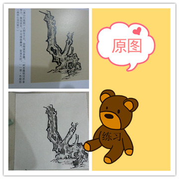 她理财