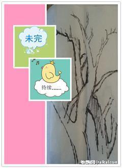 她理财