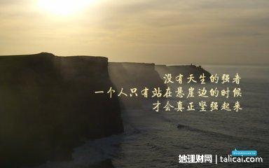 她理财