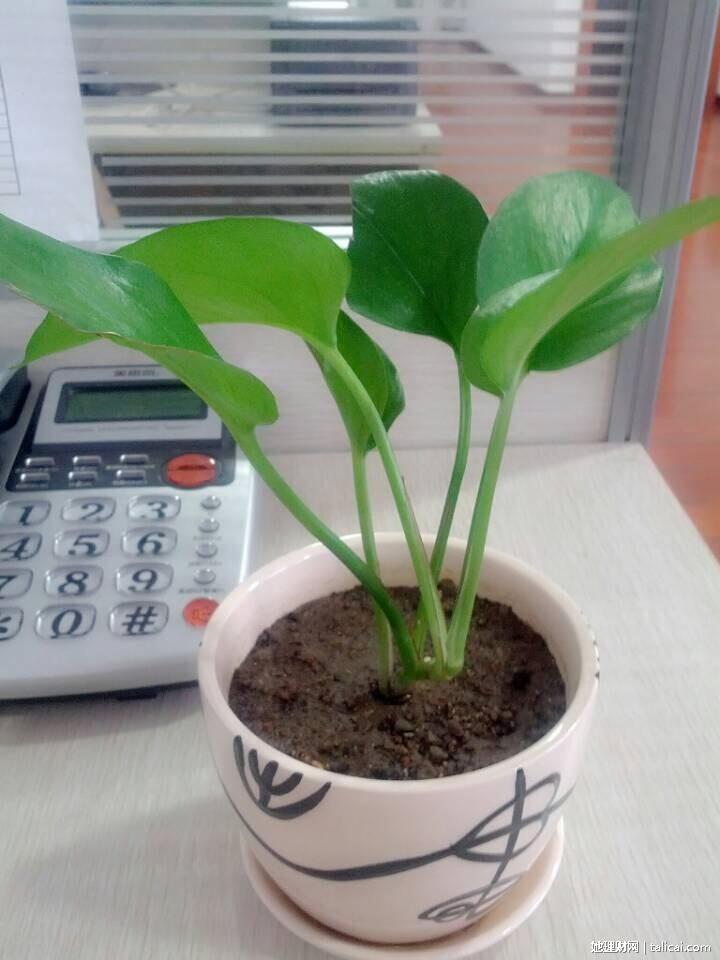 她理财