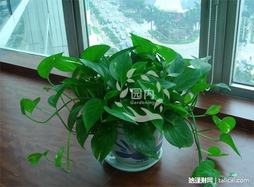 她理财