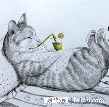 她理财
