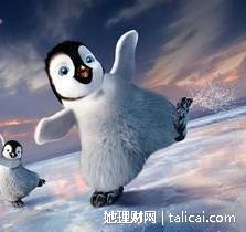她理财