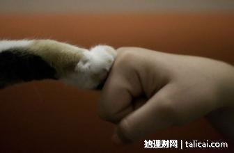 她理财