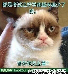 她理财