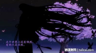 她理财