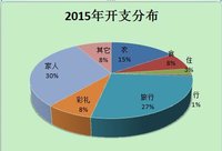 2015年支出总结