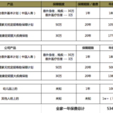 【小花】我的保险最终之选