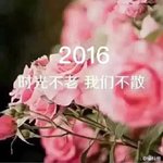 2016，我将用饱满的热情，积极的态度拥抱你