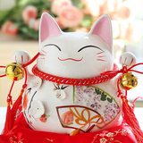#主要看财气#跟帖玉色蝴蝶，我长了招财脸