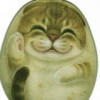 丁丁猫猫
