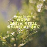 #一张图告别2015#愿所有的好姑娘都能成为自己的太阳~