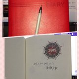 #一张图告别2015#与2015日记中记录的自己告别