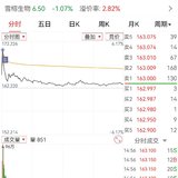 【每日基金播报】7-25，震荡调整～芯片股大涨～