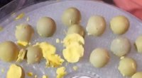 蛋黄粉制作