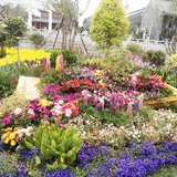 观影《芭比》