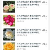 钱最好了～再买点花