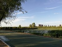 分享图片