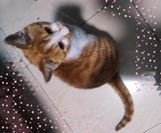 毕业后第一次和家人团圆这么久