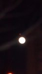 【青鸟的天空727】晒晒我大济南的月亮