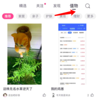 有奖|晒十一出门旅行必带的好物，送10元京东卡