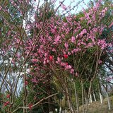 公园里面随手拍的