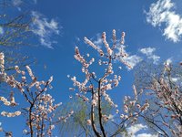阳光明媚