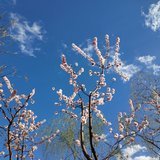 阳光明媚