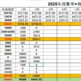 2025年2月总结&3月预算（人生新阶段）