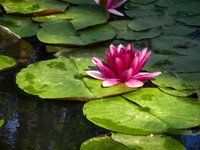 我的“花花世界”