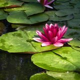 我的“花花世界”