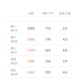 【雪桐】2019年第34/52周总结及下周计划