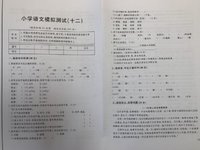 【小花】从小升初考试，倒推娃的小学自鸡规划路线