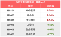 今日股市小幅下跌... | 11月22日指数估值