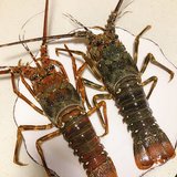 龙虾的三种吃法，超级鲜美！