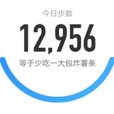 5000步打卡336天