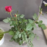 坚守底线，保护自己