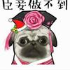 藿香蛋
