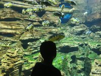 2025年偕老带幼暑假海南行