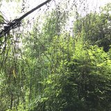 再见，5月