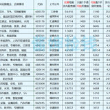 待发转债清单-20221126