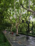 2025年上半场：清点行囊，再赴前路