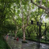 2025年上半场：清点行囊，再赴前路