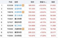 转债指数新高