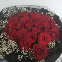 33朵红玫瑰