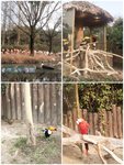 上海D2:上海野生动物园