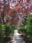 5月，再见~